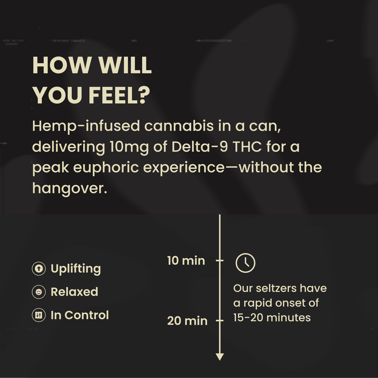 Wild Hare High Seltzer - Variety Pack